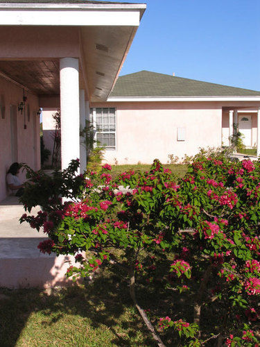 Love At First Sight Staniard Creek Exterior photo